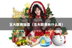 五大联赛加盟（五大联赛有什么用）