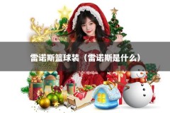 雷诺斯篮球装（雷诺斯是什么）