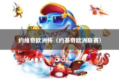 约维奇欧洲杯（约基奇欧洲联赛）