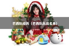 巴西队经历（巴西队队员名单）