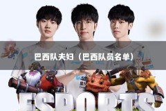 巴西队夫妇（巴西队员名单）