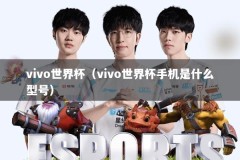 vivo世界杯（vivo世界杯手机是什么型号）