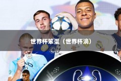 世界杯笨蛋（世界杯滴）