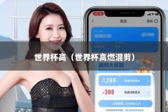 世界杯高（世界杯高燃混剪）