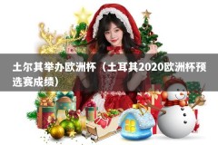 土尔其举办欧洲杯（土耳其2020欧洲杯预选赛成绩）