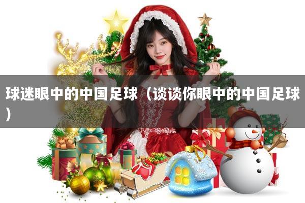 球迷眼中的中国足球(谈谈你眼中的中国足球)