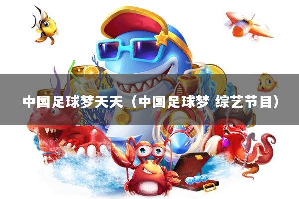 中国足球梦天天(中国足球梦 综艺节目)