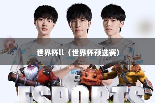 世界杯ll(世界杯预选赛)