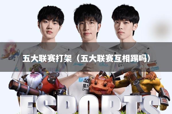 五大联赛打架(五大联赛互相踢吗)