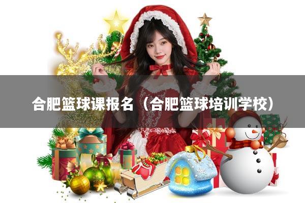 合肥篮球课报名(合肥篮球培训学校)